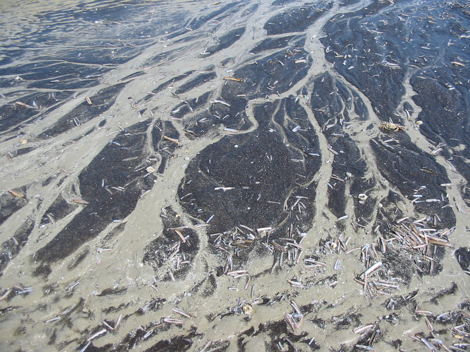 Phd thesis template image